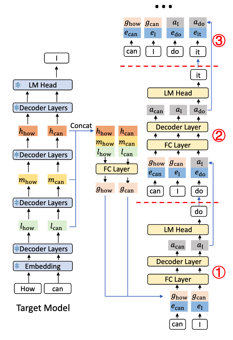 EAGLE-3 推理 pipeline:target model 提取低/中/高三层 feature 融合为 g,draft model 通过 FC + Decoder Layer 自回归预测,每步用自己的输出 a 替代真实 feature